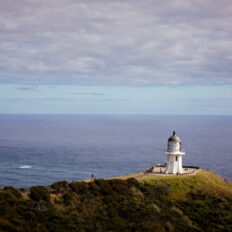 Twin Coast Escape, New Zealand - Globetrotting horse riding holidays
