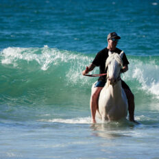Twin Coast Escape, New Zealand - Globetrotting horse riding holidays