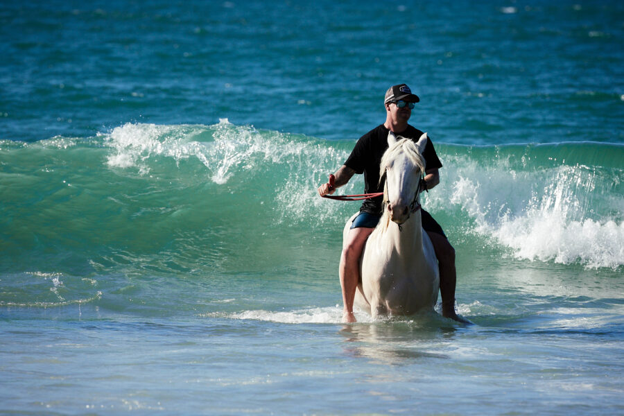 Twin Coast Escape, New Zealand - Globetrotting horse riding holidays