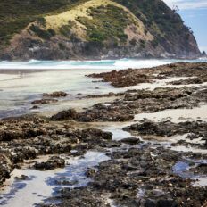 Twin Coast Escape, New Zealand - Globetrotting horse riding holidays