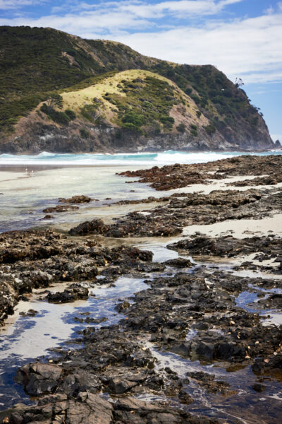 Twin Coast Escape, New Zealand - Globetrotting horse riding holidays