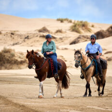 Twin Coast Escape, New Zealand - Globetrotting horse riding holidays