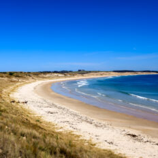 Twin Coast Escape, New Zealand - Globetrotting horse riding holidays