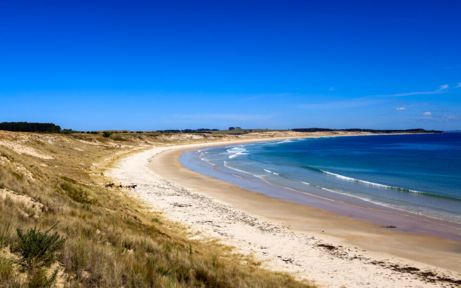 Twin Coast Escape, New Zealand - Globetrotting horse riding holidays