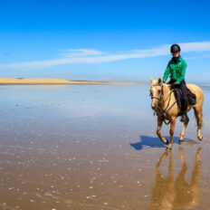 Twin Coast Escape, New Zealand - Globetrotting horse riding holidays