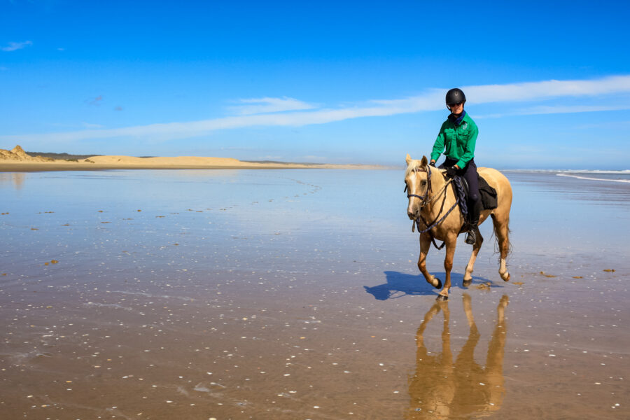 Twin Coast Escape, New Zealand - Globetrotting horse riding holidays