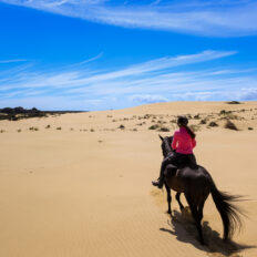 Twin Coast Escape, New Zealand - Globetrotting horse riding holidays