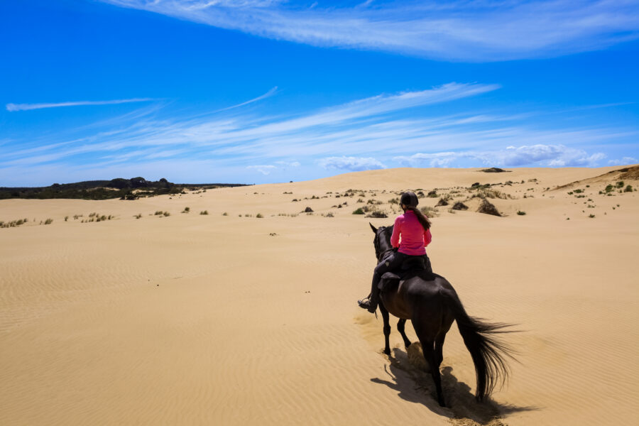 Twin Coast Escape, New Zealand - Globetrotting horse riding holidays