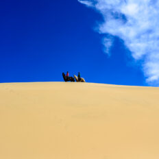 Twin Coast Escape, New Zealand - Globetrotting horse riding holidays