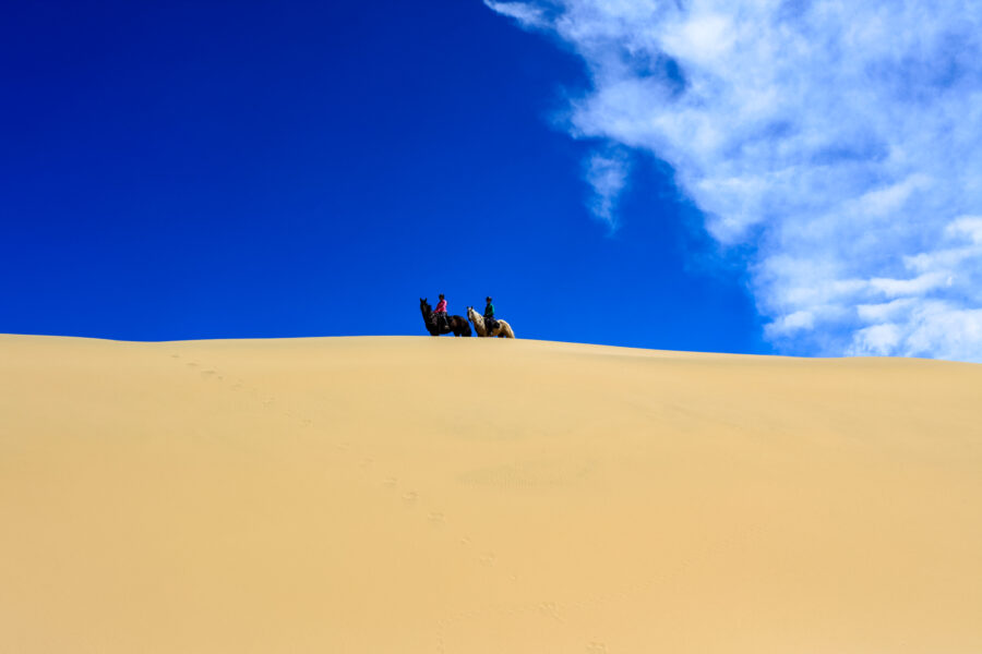 Twin Coast Escape, New Zealand - Globetrotting horse riding holidays