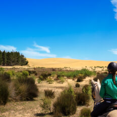 Twin Coast Escape, New Zealand - Globetrotting horse riding holidays