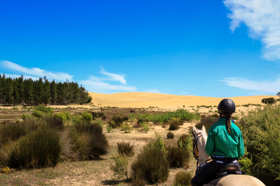 Twin Coast Escape, New Zealand - Globetrotting horse riding holidays