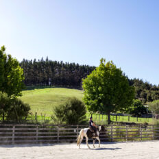 Twin Coast Escape, New Zealand - Globetrotting horse riding holidays