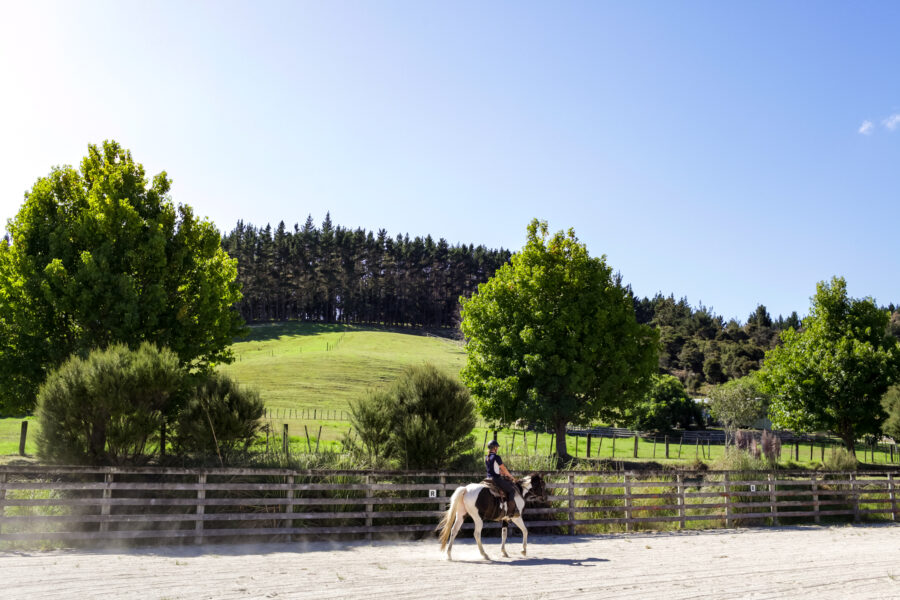 Twin Coast Escape, New Zealand - Globetrotting horse riding holidays