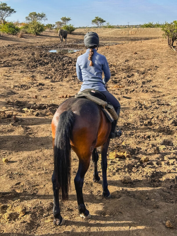 Tuli Safari, Botswana, Globetrotting Horse Riding Holidays