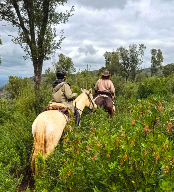 Tuscany, Italy, Globetrotting Horse Riding Holidays