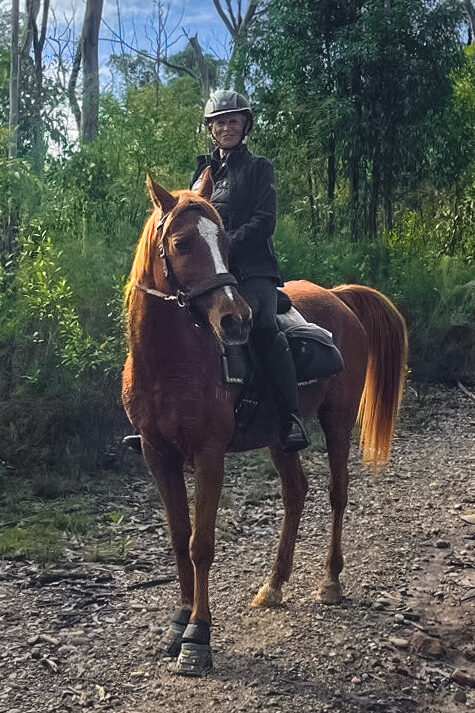 The Shoalhaven Ride, Australia, Globetrotting Horse Riding Holiday