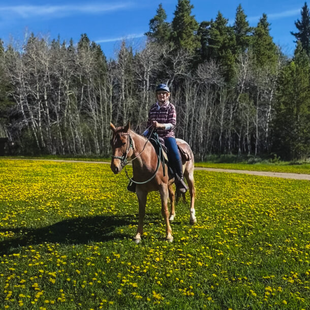 Rocky Mountains Ride, Canada, Globetrotting Horse Riding Holidays