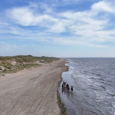 The Championships Tour, The Netherlands - Globetrotting horse riding holidays