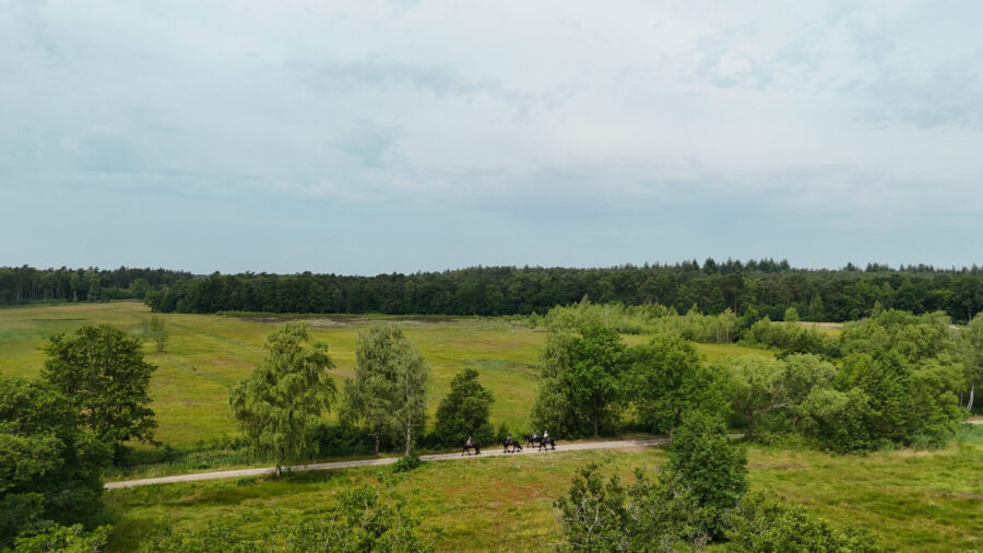 The Championships Tour, The Netherlands - Globetrotting horse riding holidays