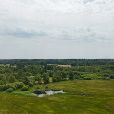 The Championships Tour, The Netherlands - Globetrotting horse riding holidays
