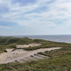 The Championships Tour, The Netherlands - Globetrotting horse riding holidays