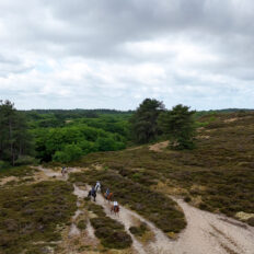 The Championships Tour, The Netherlands - Globetrotting horse riding holidays