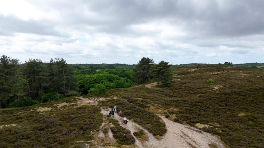 The Championships Tour, The Netherlands - Globetrotting horse riding holidays