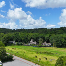 The Championships Tour, The Netherlands - Globetrotting horse riding holidays
