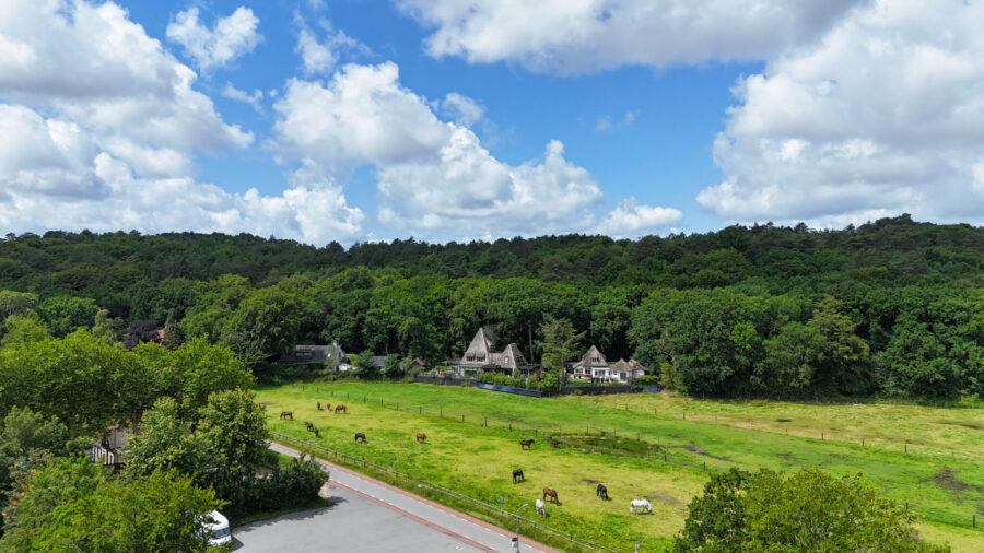 The Championships Tour, The Netherlands - Globetrotting horse riding holidays