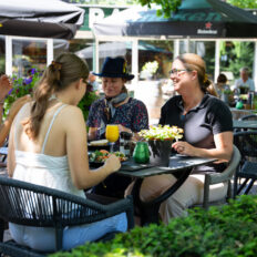 The Championships Tour, The Netherlands - Globetrotting horse riding holidays
