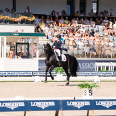 The Championships Tour, The Netherlands - Globetrotting horse riding holidays