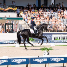 The Championships Tour, The Netherlands - Globetrotting horse riding holidays