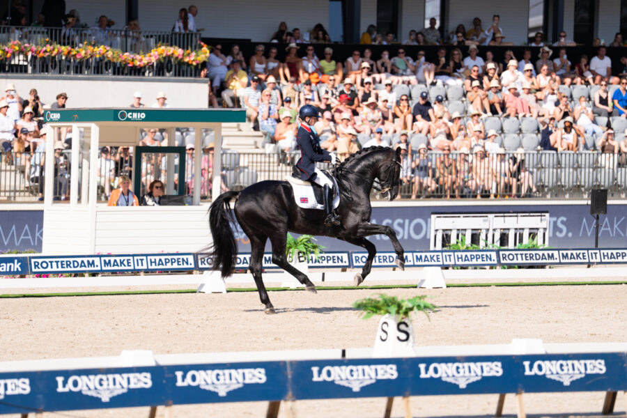 The Championships Tour, The Netherlands - Globetrotting horse riding holidays