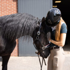 The Championships Tour, The Netherlands - Globetrotting horse riding holidays