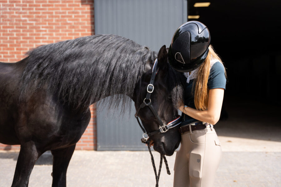 The Championships Tour, The Netherlands - Globetrotting horse riding holidays