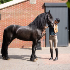 The Championships Tour, The Netherlands - Globetrotting horse riding holidays