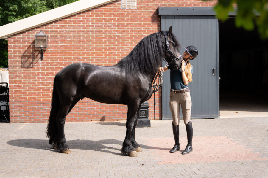The Championships Tour, The Netherlands - Globetrotting horse riding holidays