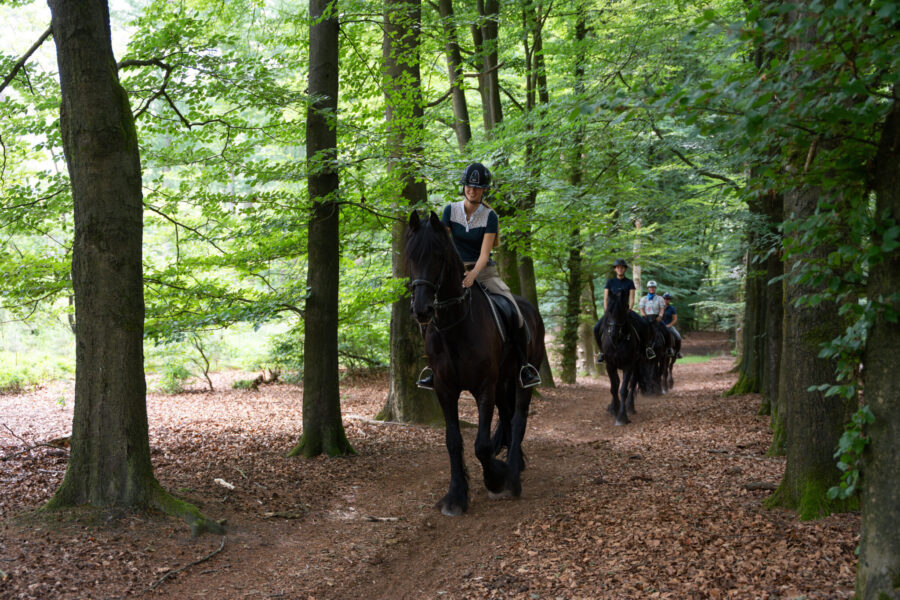 The Championships Tour, The Netherlands - Globetrotting horse riding holidays