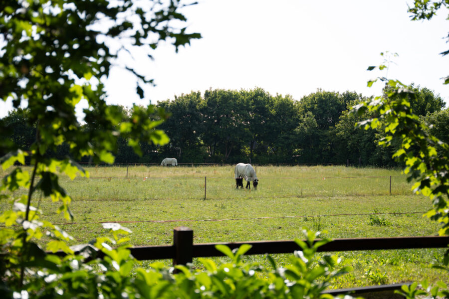 The Championships Tour, The Netherlands - Globetrotting horse riding holidays