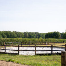 The Championships Tour, The Netherlands - Globetrotting horse riding holidays