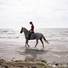 The Championships Tour, The Netherlands - Globetrotting horse riding holidays