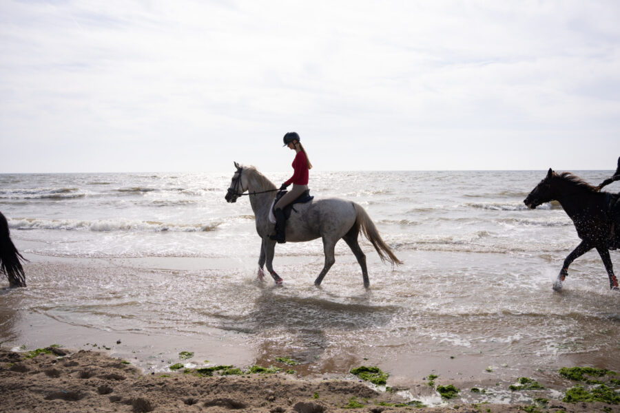 The Championships Tour, The Netherlands - Globetrotting horse riding holidays