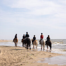 The Championships Tour, The Netherlands - Globetrotting horse riding holidays