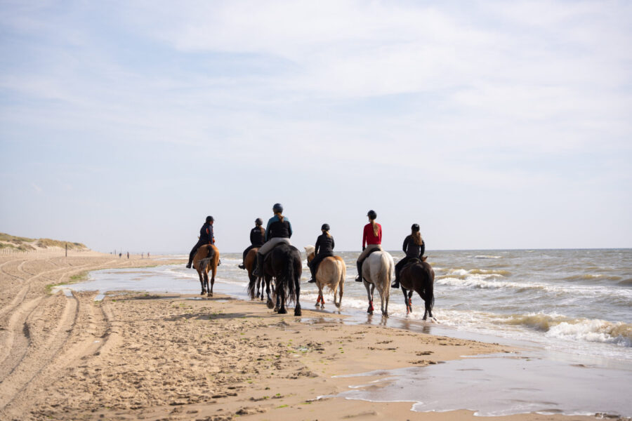 The Championships Tour, The Netherlands - Globetrotting horse riding holidays