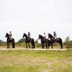 The Championships Tour, The Netherlands - Globetrotting horse riding holidays