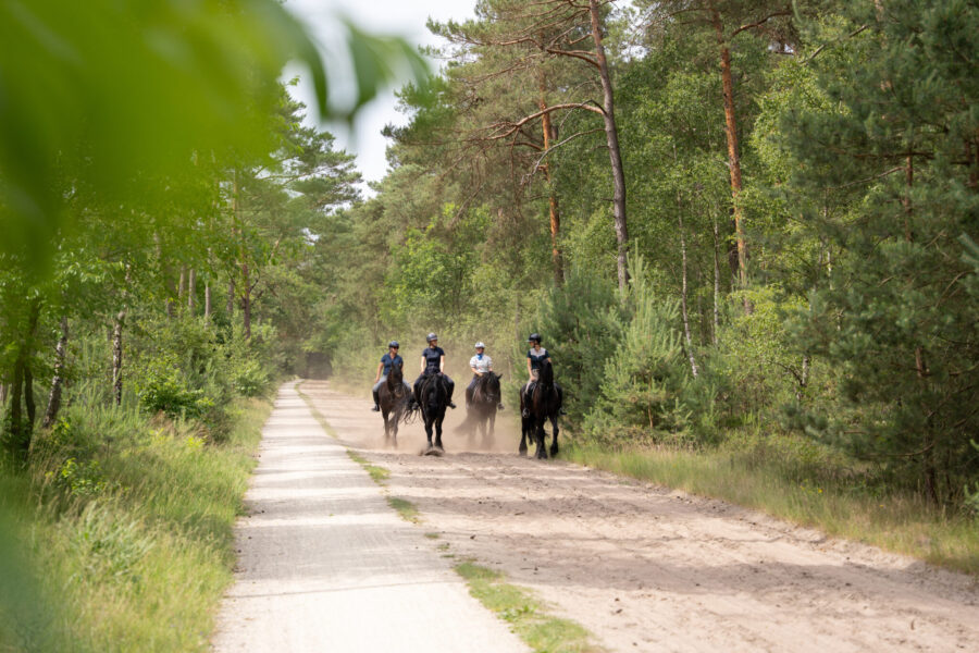 The Championships Tour, The Netherlands - Globetrotting horse riding holidays
