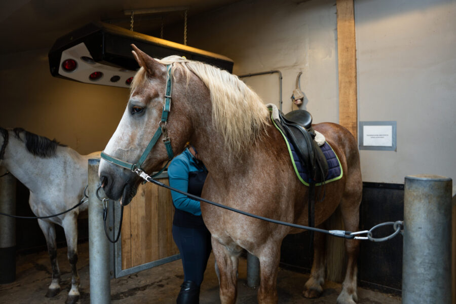 The Championships Tour, The Netherlands - Globetrotting horse riding holidays