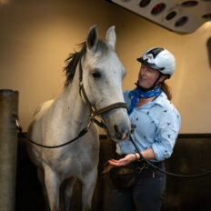 The Championships Tour, The Netherlands - Globetrotting horse riding holidays