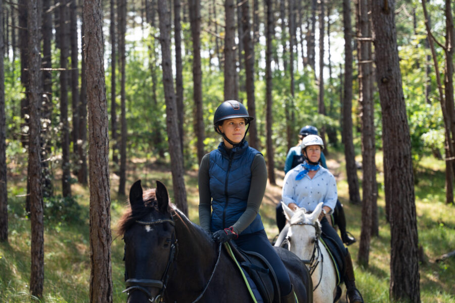 The Championships Tour, The Netherlands - Globetrotting horse riding holidays